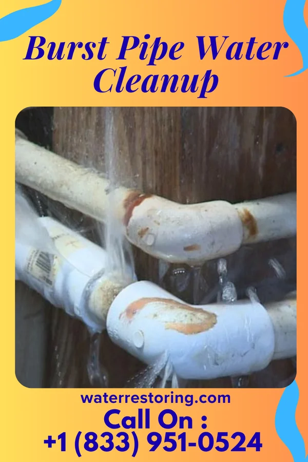 Burst Pipe Water Cleanup in Heron Bay, GA
