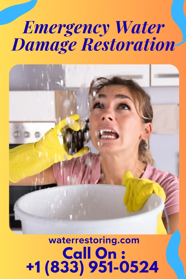 Emergency Water Damage Restoration in Heron Bay, GA