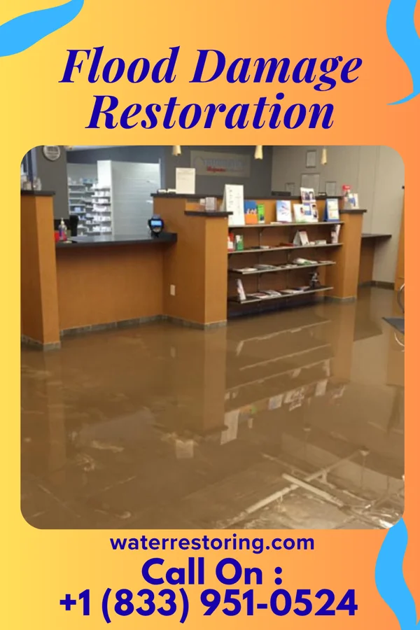 Flood Damage Restoration in Heron Bay, GA