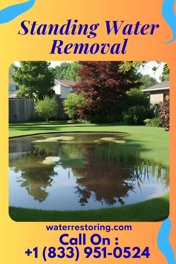 Standing Water Removal in Heron Bay, GA
